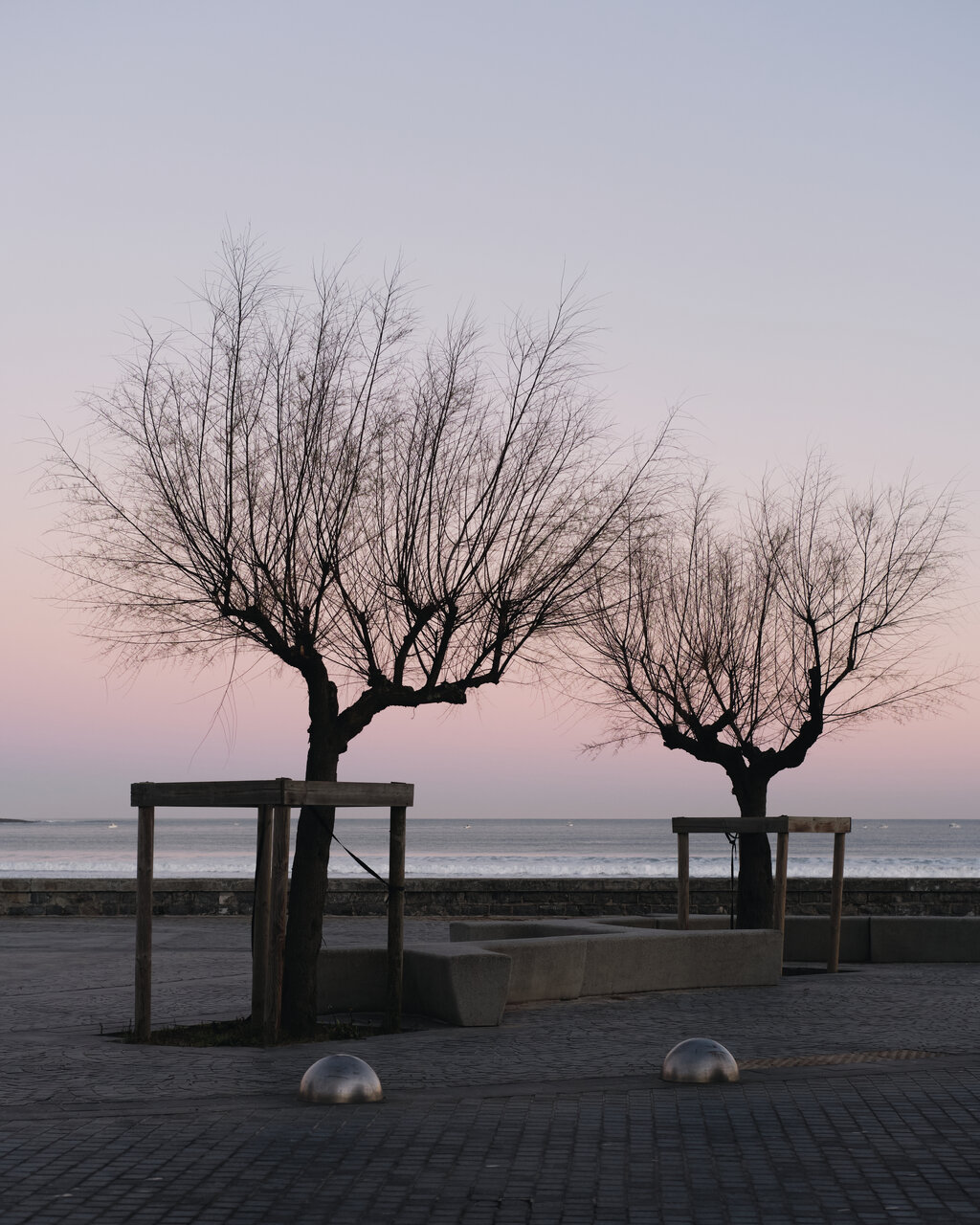 h_DSCF4213.jpg