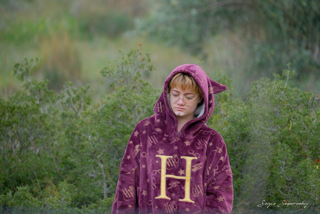 Harry Potter fan 1.jpg