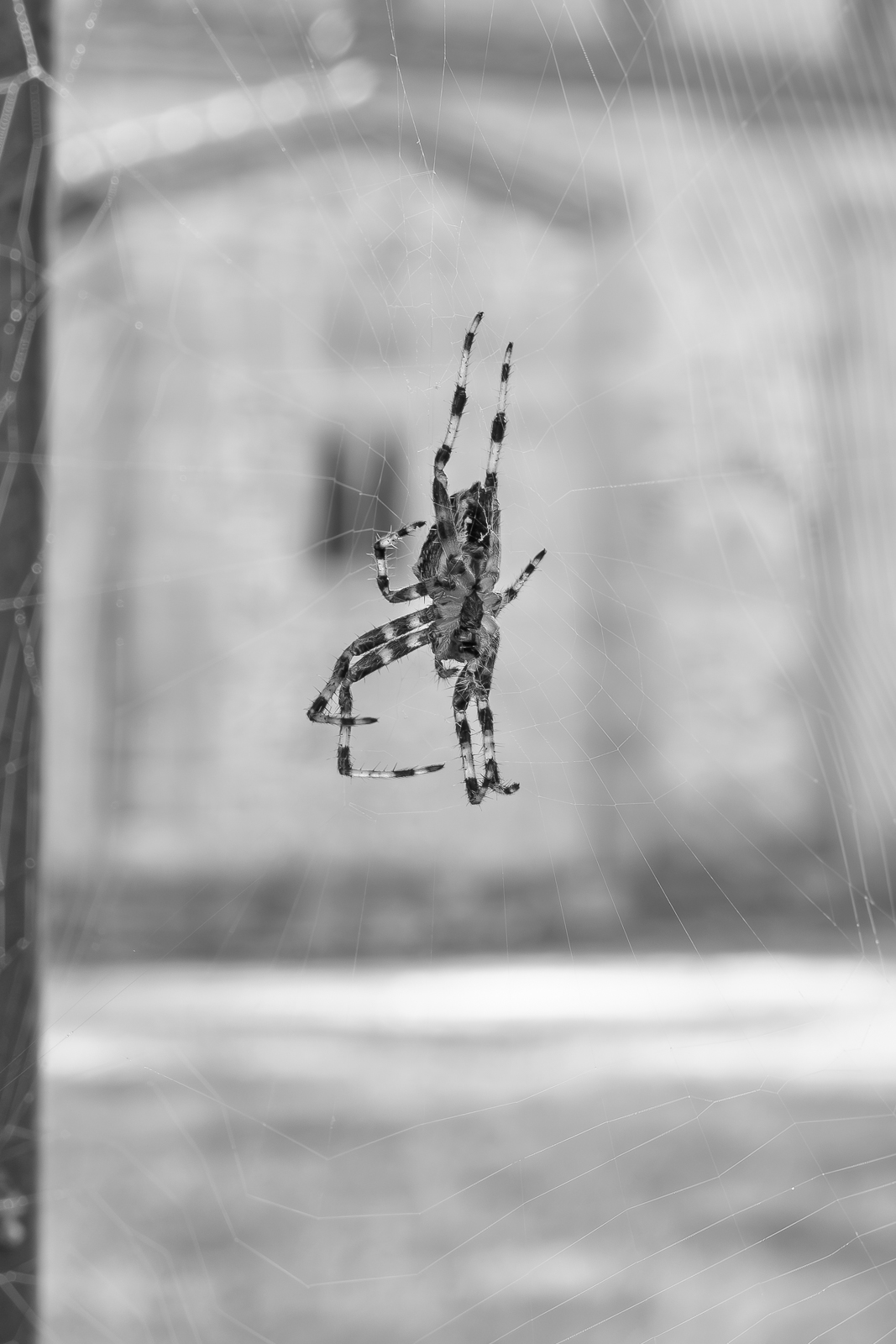 IMG_1025.jpeg