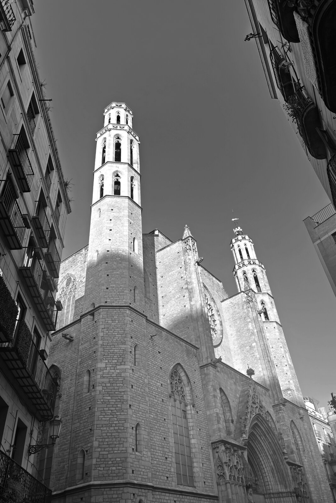 IMG_1042.jpg
