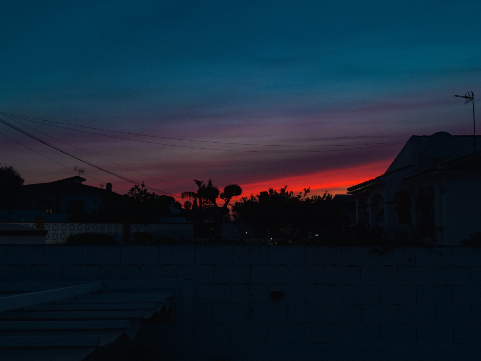 IMG_1792.jpeg