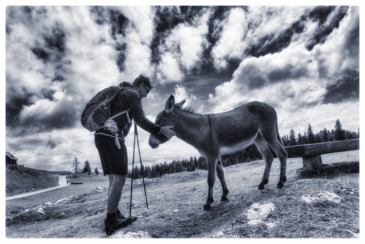 Platero y yo