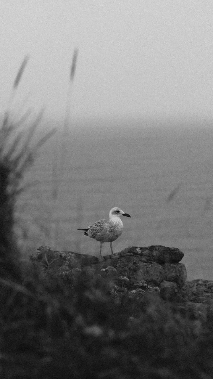 IMG_20231210_002618_936.jpg IMG_20231210_002618_936.jpg