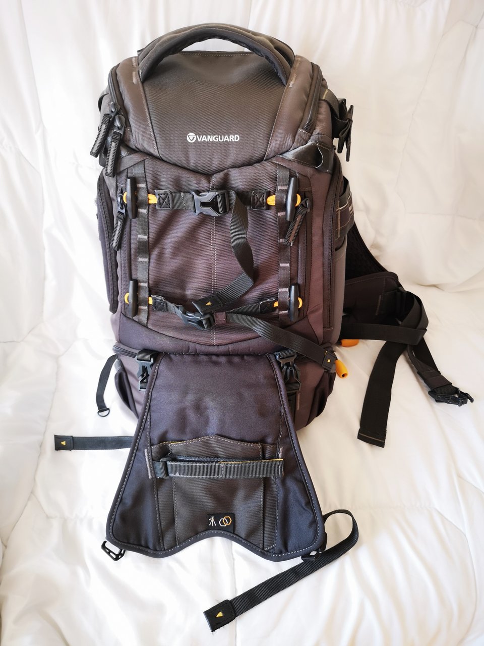 IMG_20240126_161417.jpeg IMG_20240126_161417.jpeg