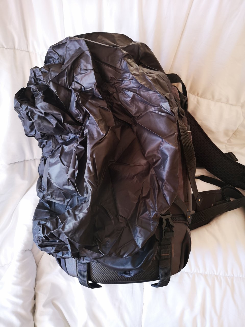 IMG_20240126_161617.jpeg IMG_20240126_161617.jpeg