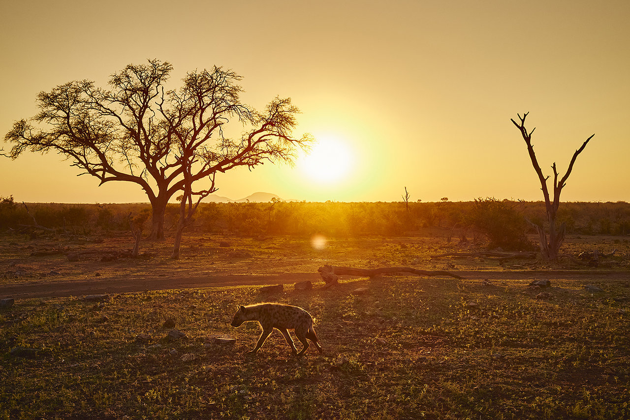 IMG_2700.jpeg IMG_2700.jpeg