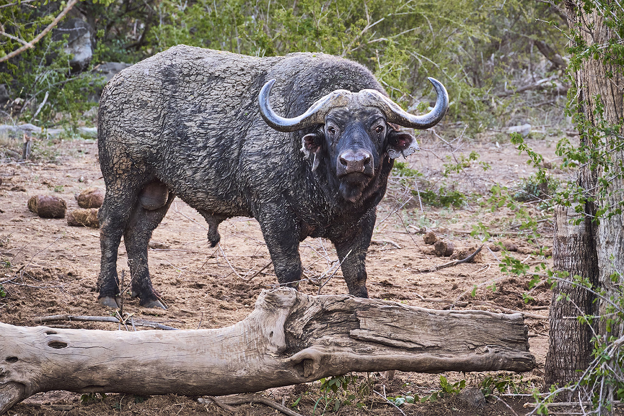 IMG_2710.jpeg IMG_2710.jpeg