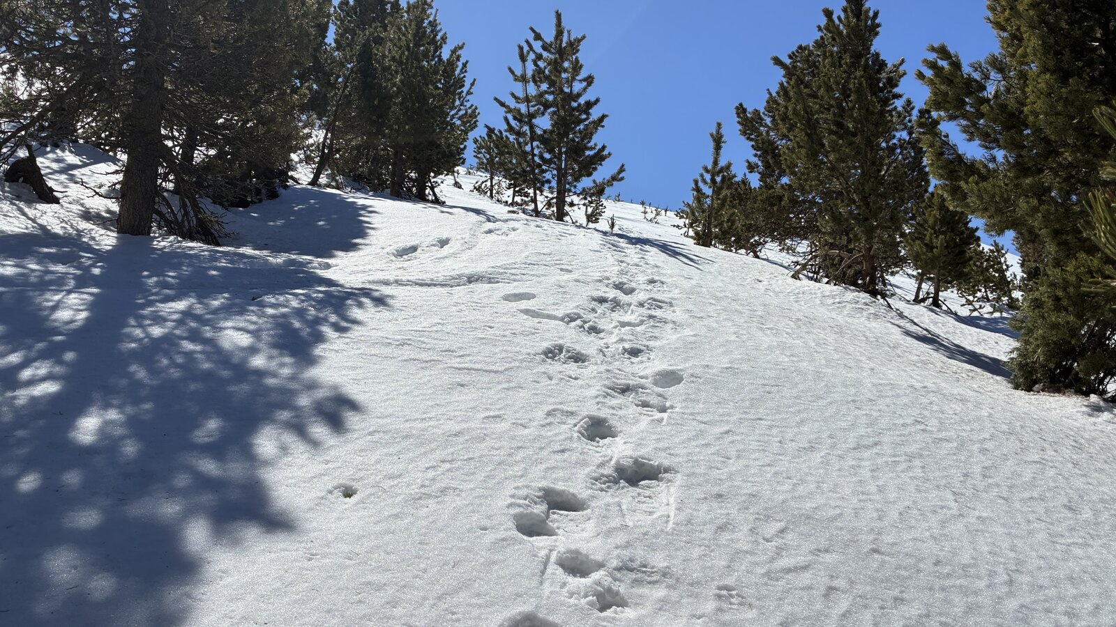 IMG_9927.jpg