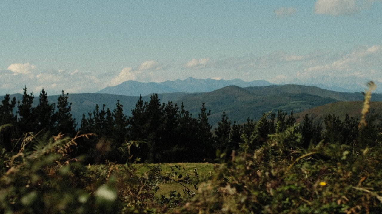 Immagine_WhatsApp_2023-09-20_ore_23.18.26.jpg Immagine_WhatsApp_2023-09-20_ore_23.18.26.jpg