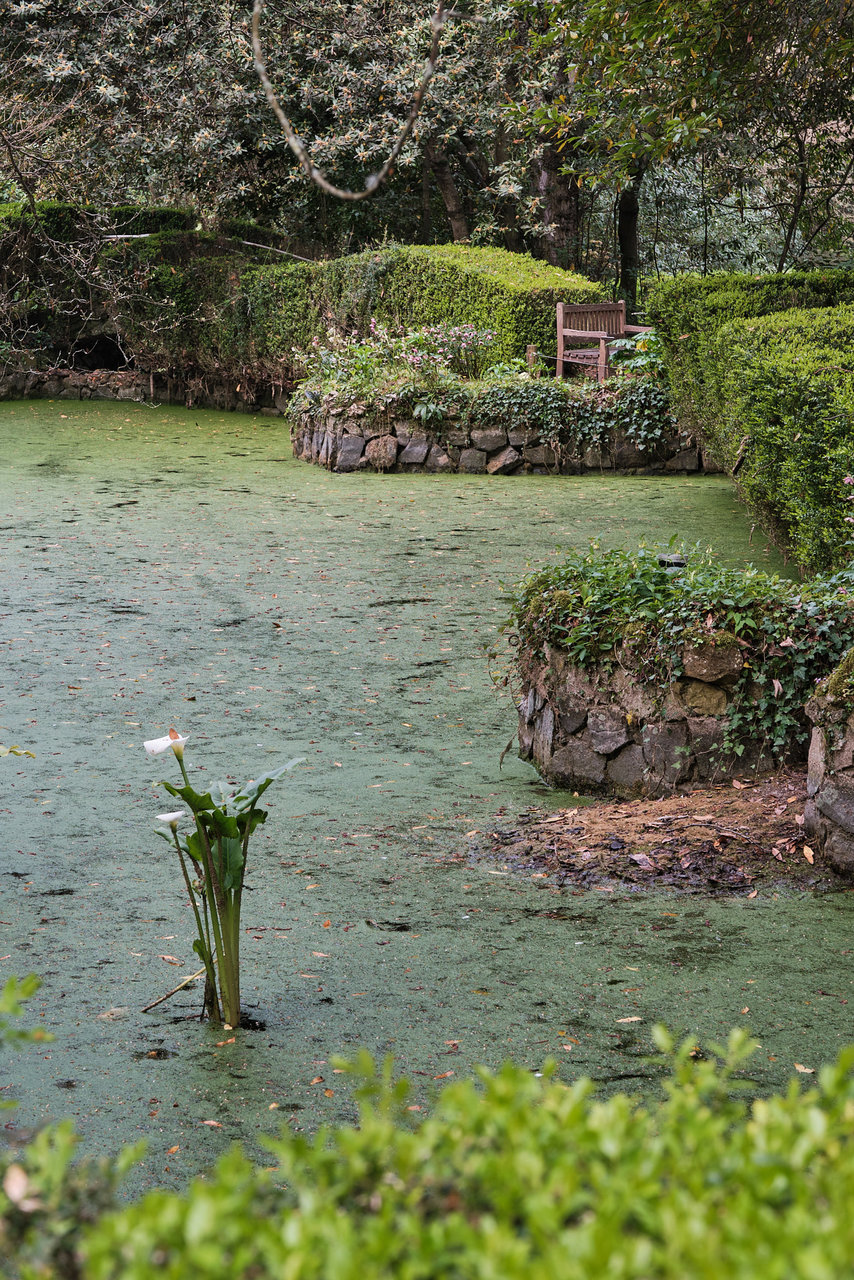 Jardín Botánico085 9 1-26 160.jpg