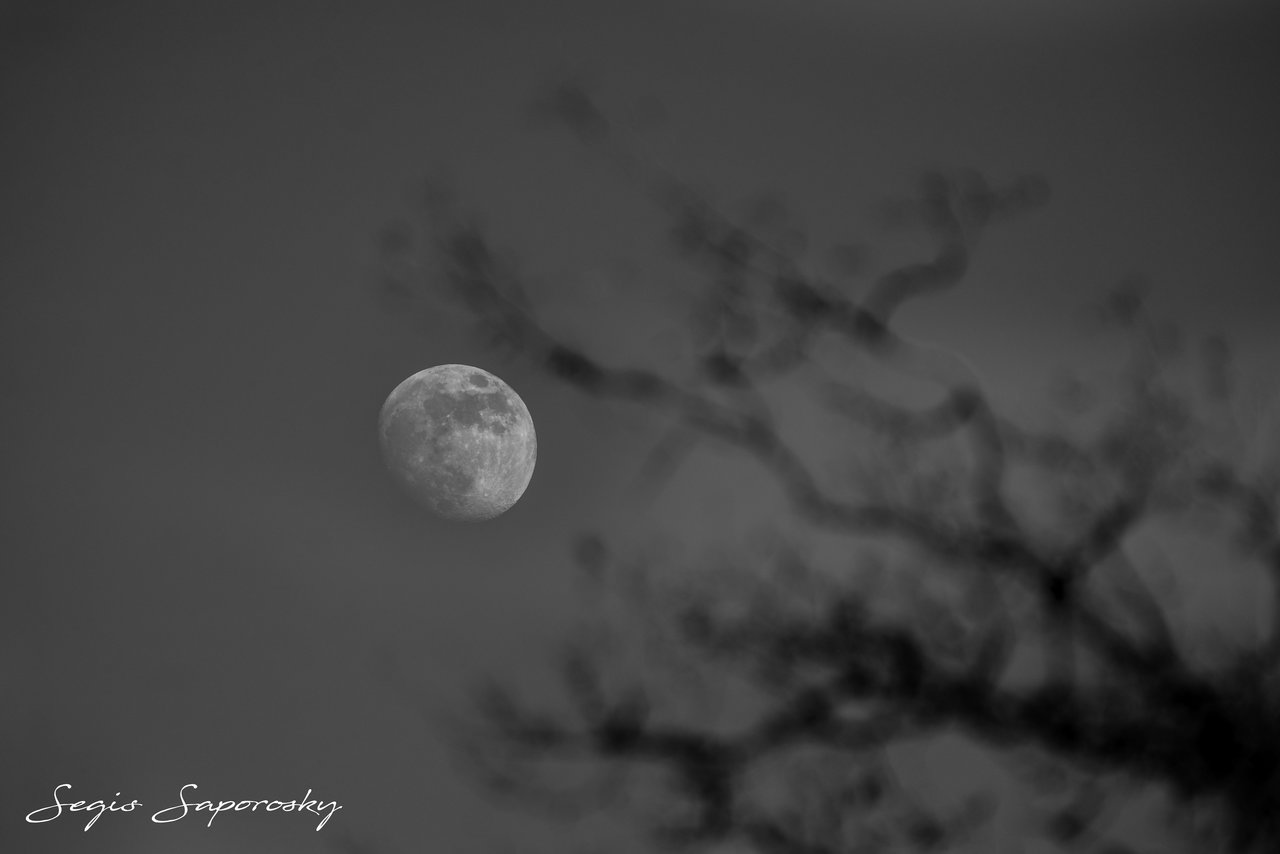 La Luna y la sombra