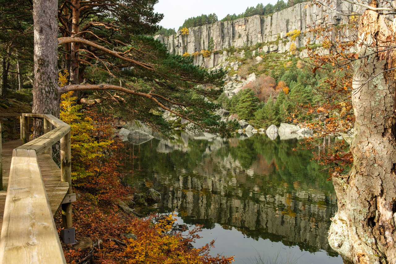 Laguna Negra 12.jpg