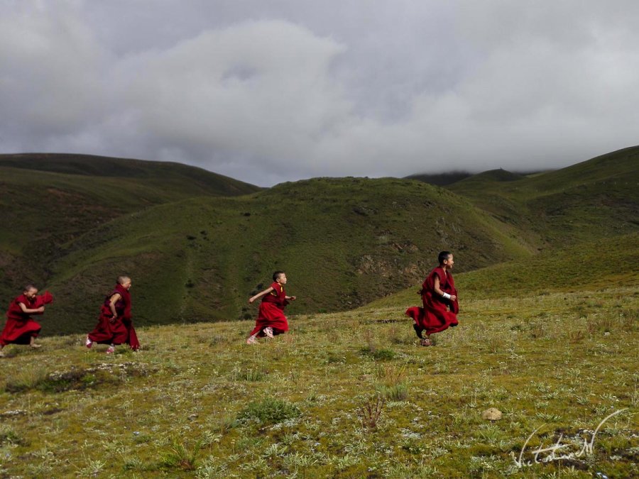Lajia tibetan little monks.JPG