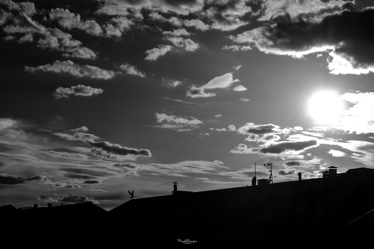 Las nubes, los tejados, el sol y dos gaviotas jugando.jpg