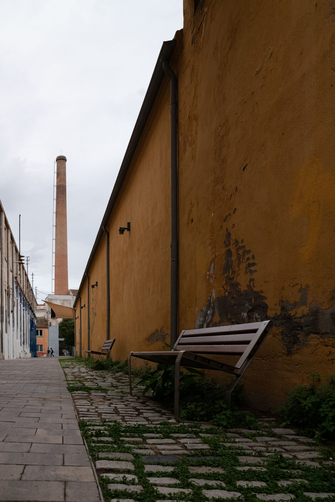LM101429.jpg
