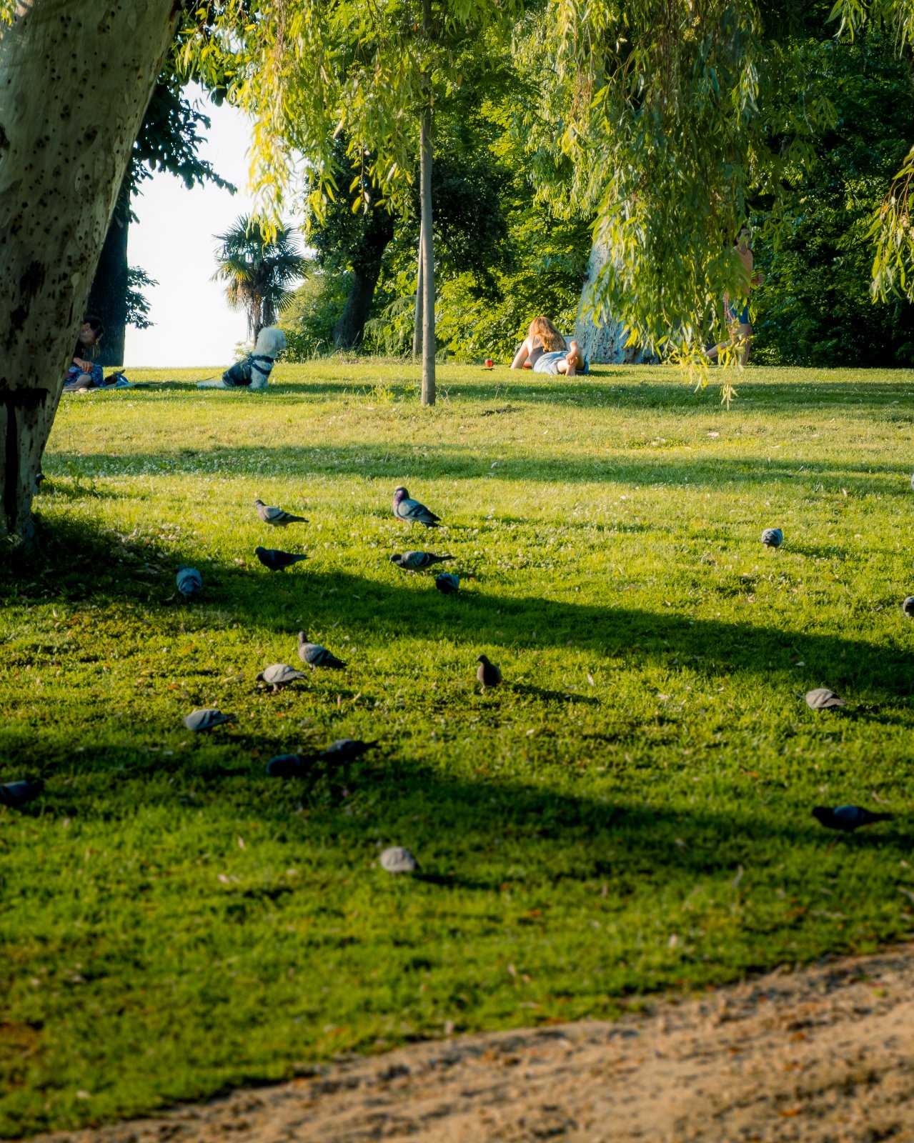 Madrid Junio 2025 Retiro-1.jpg