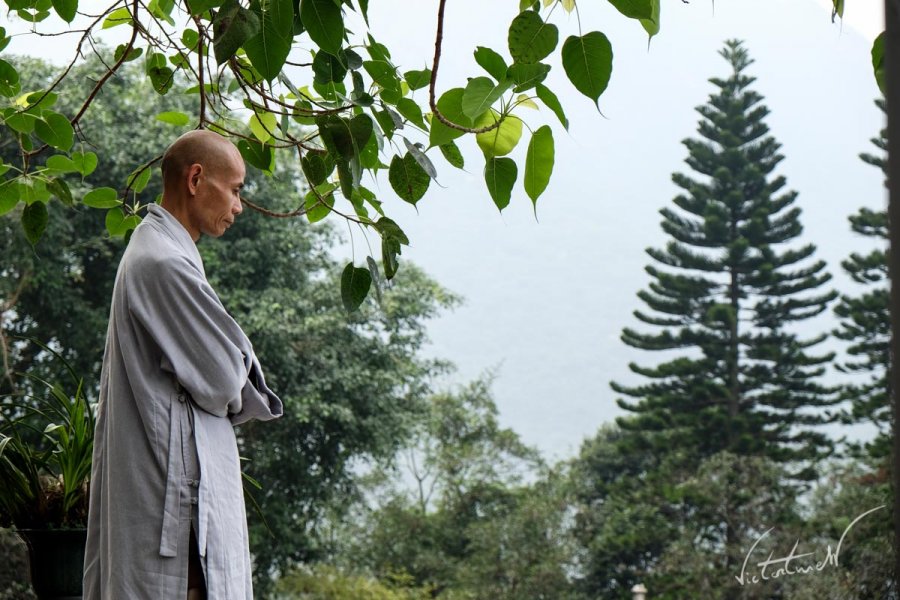 Un año en Asia. Hong Kong y Taiwán