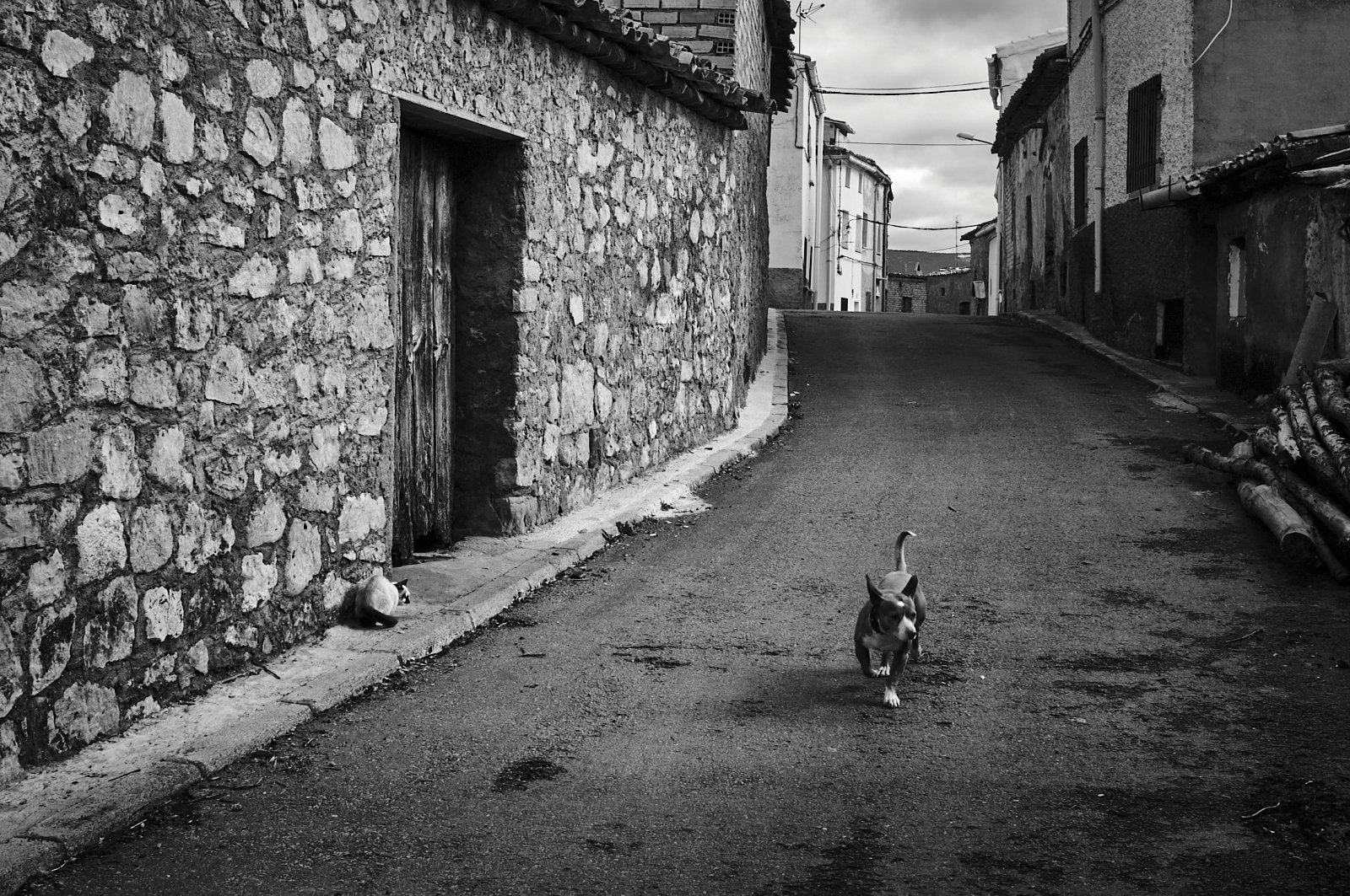 Miradas (7).jpg