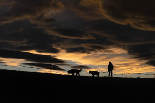 Luces del atardecer