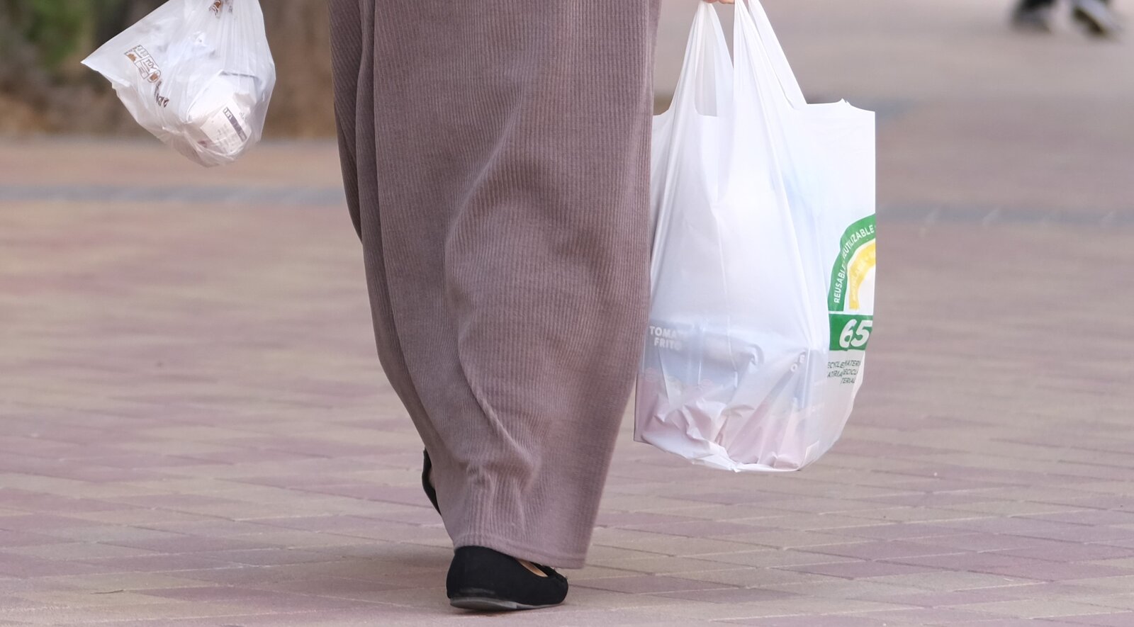 mujer bolsa 100.jpg