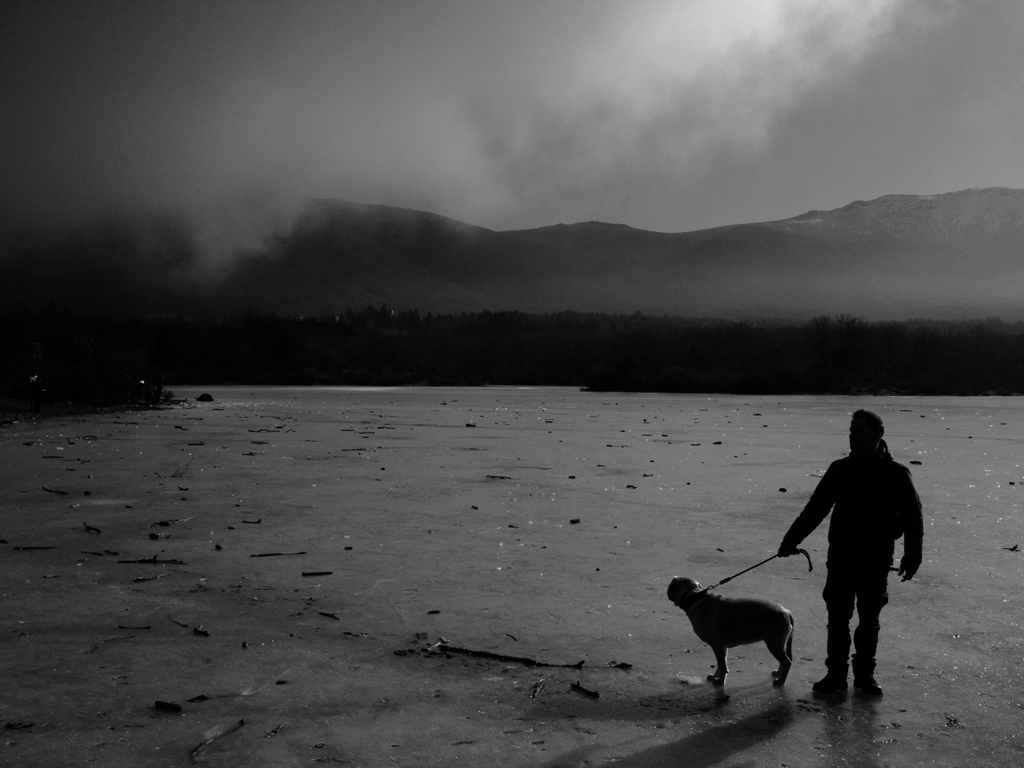 Niebla sobre pantano helado.