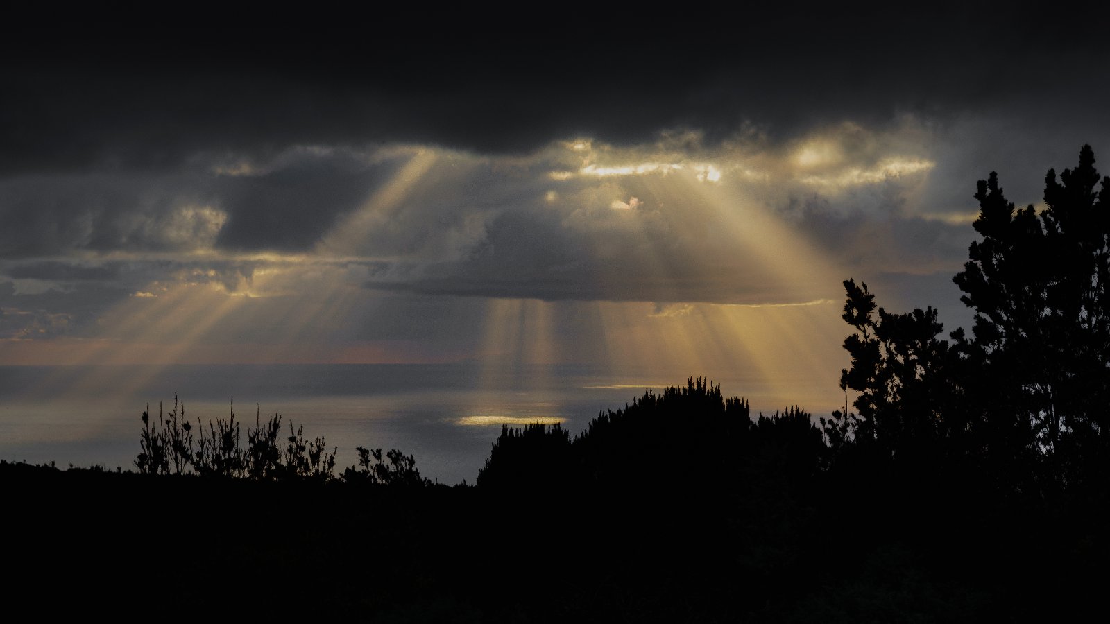 Nikon 55mm f3_5-4.jpg