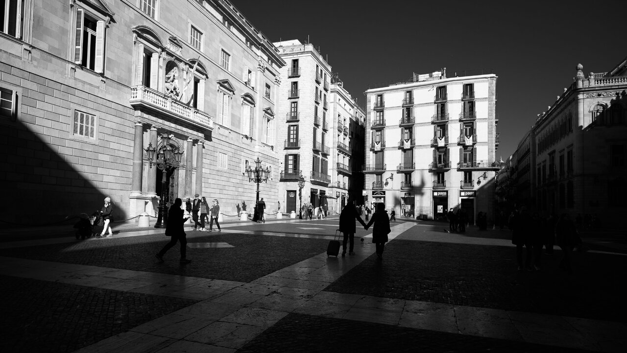 NZF_2428.jpg NZF_2428.jpg