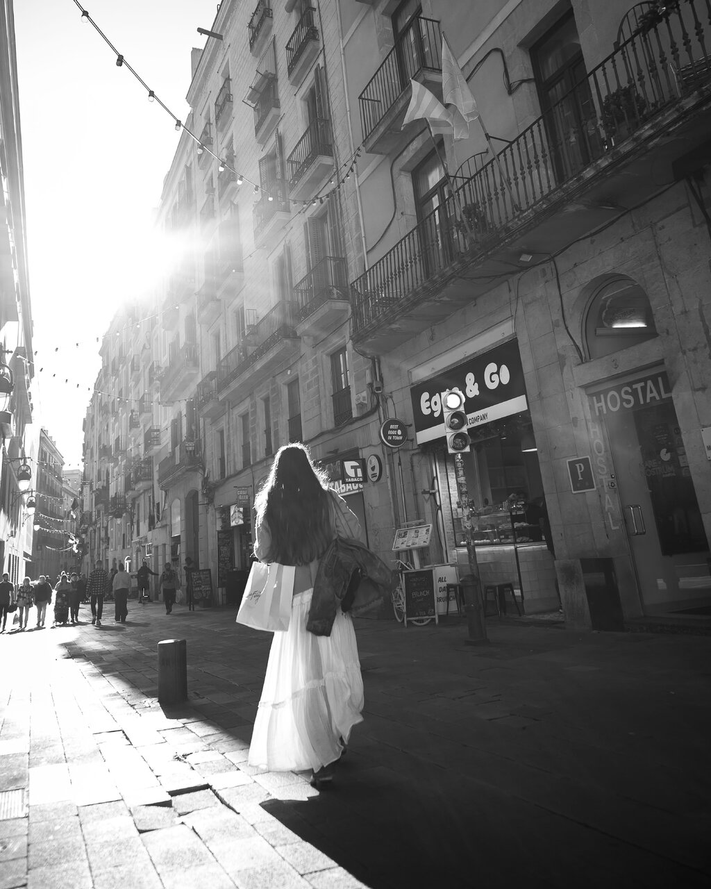 NZF_2444.jpg NZF_2444.jpg