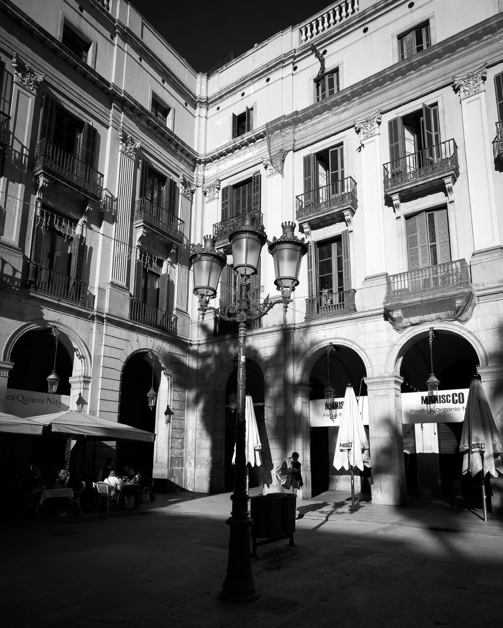 NZF_2448.jpg NZF_2448.jpg