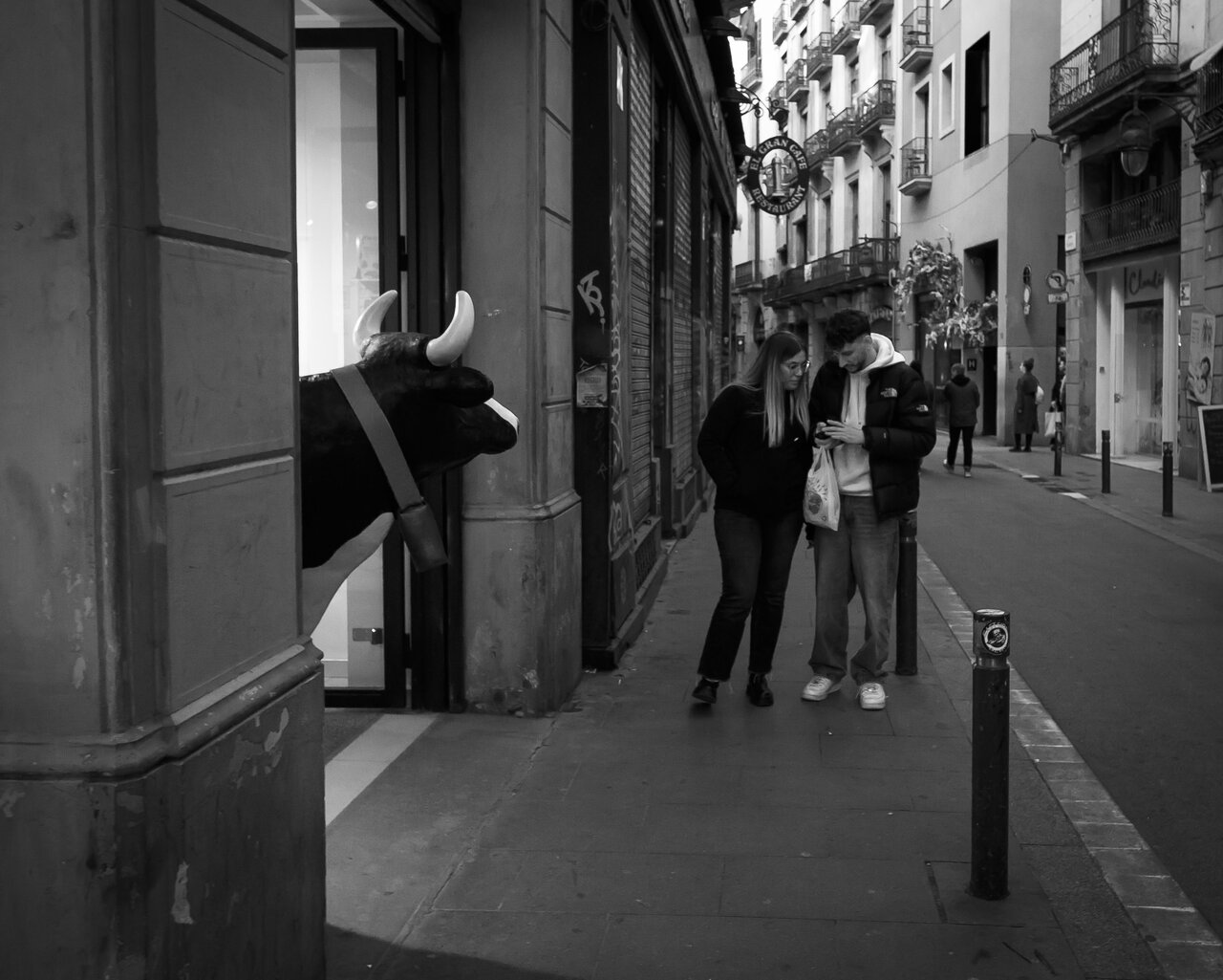 NZF_2457.jpg NZF_2457.jpg