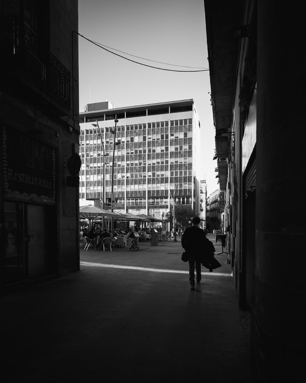 NZF_2469.jpg NZF_2469.jpg