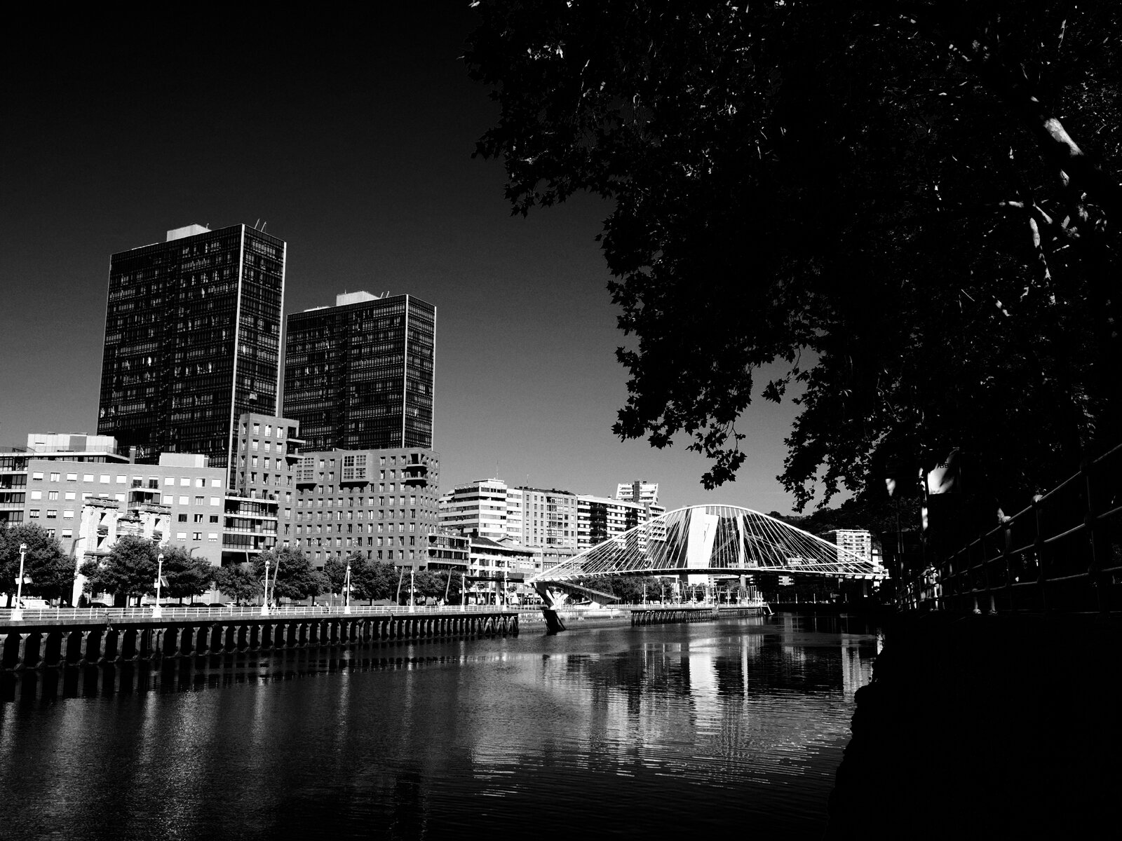 P6120289.JPG