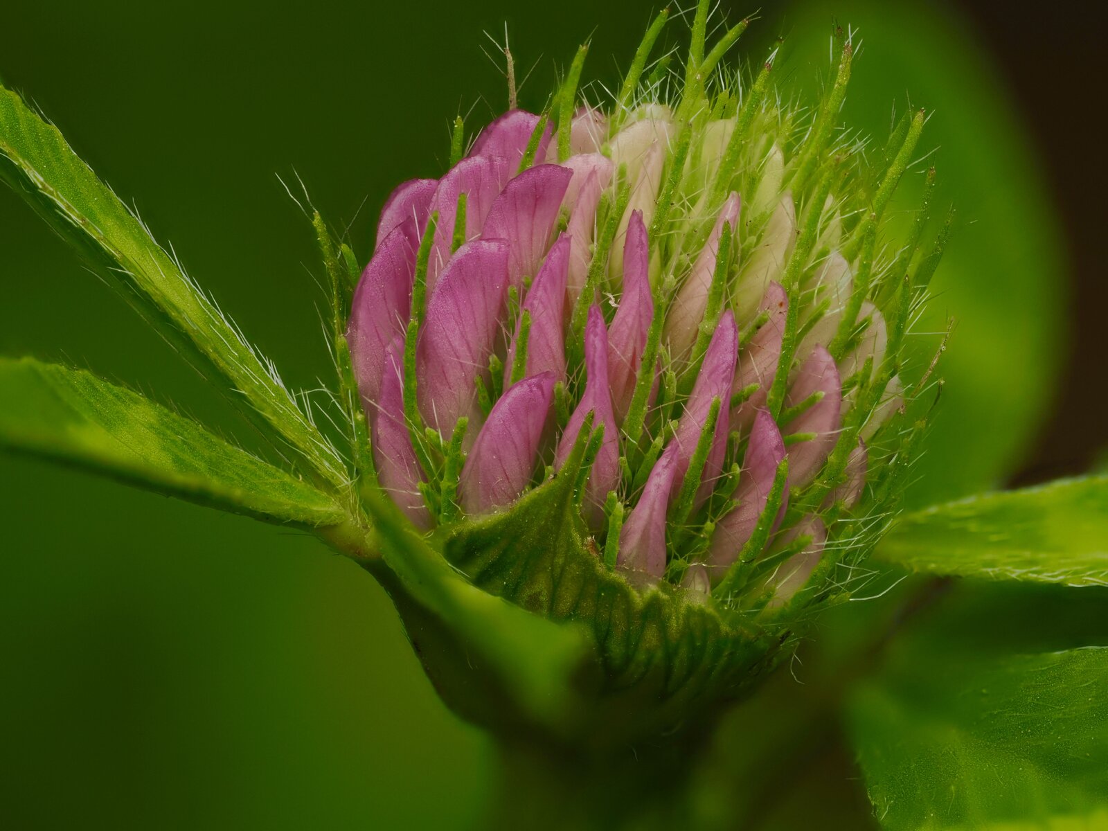 P9290407.jpeg