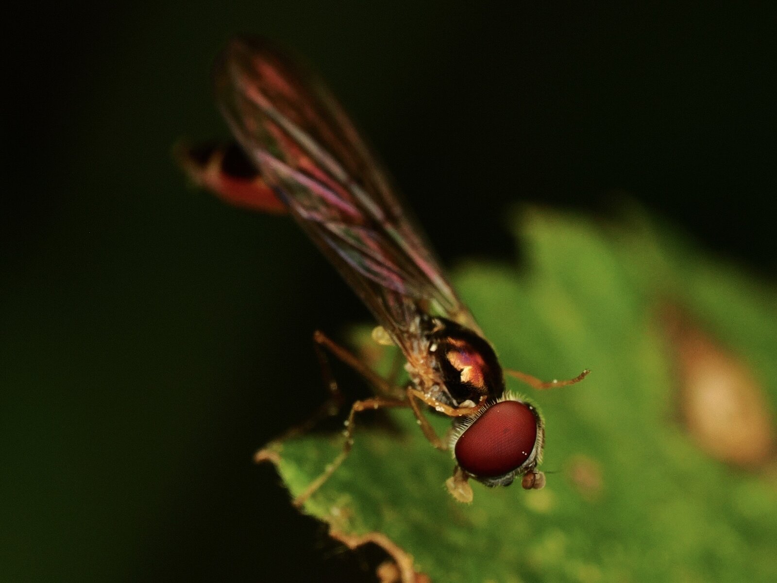 PA031220.jpg