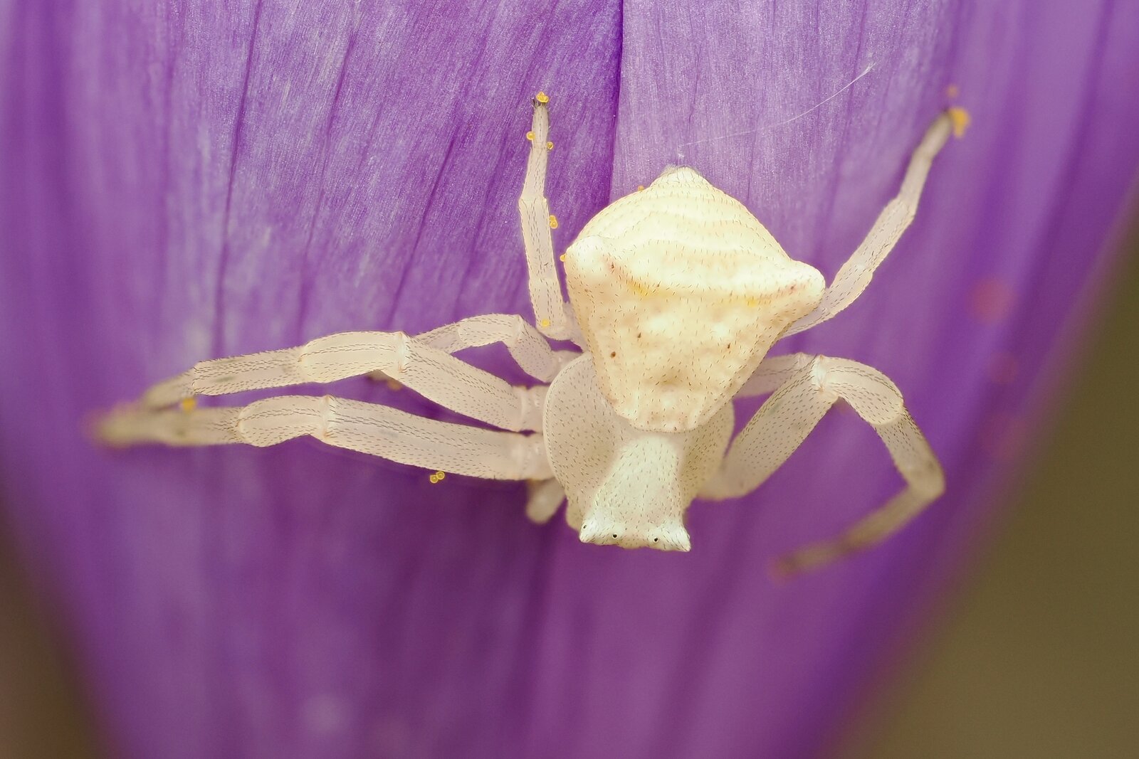 PA040175.jpg