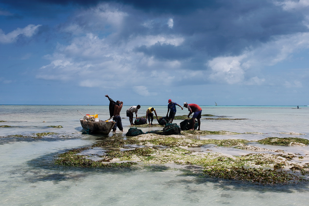 pescadors-peces2-2.jpg