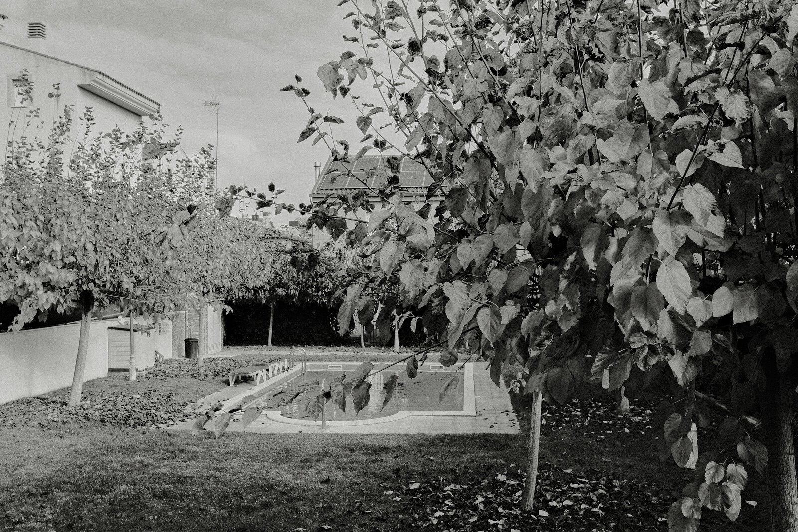 piscina de otoño.jpg