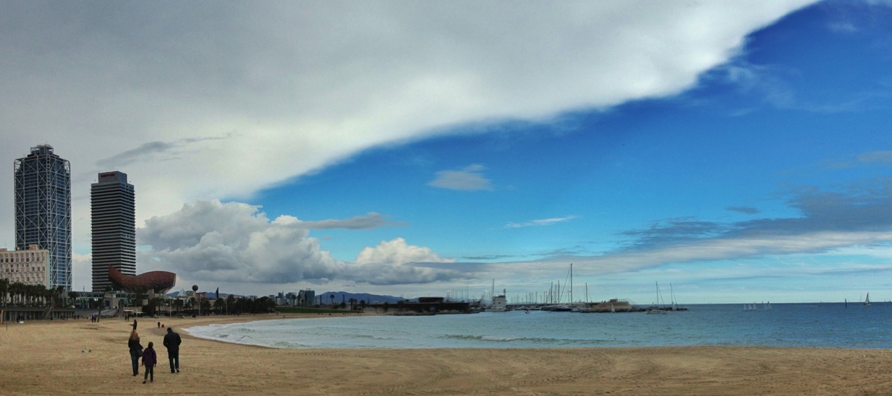 Platja de la Barceloneta.jpeg