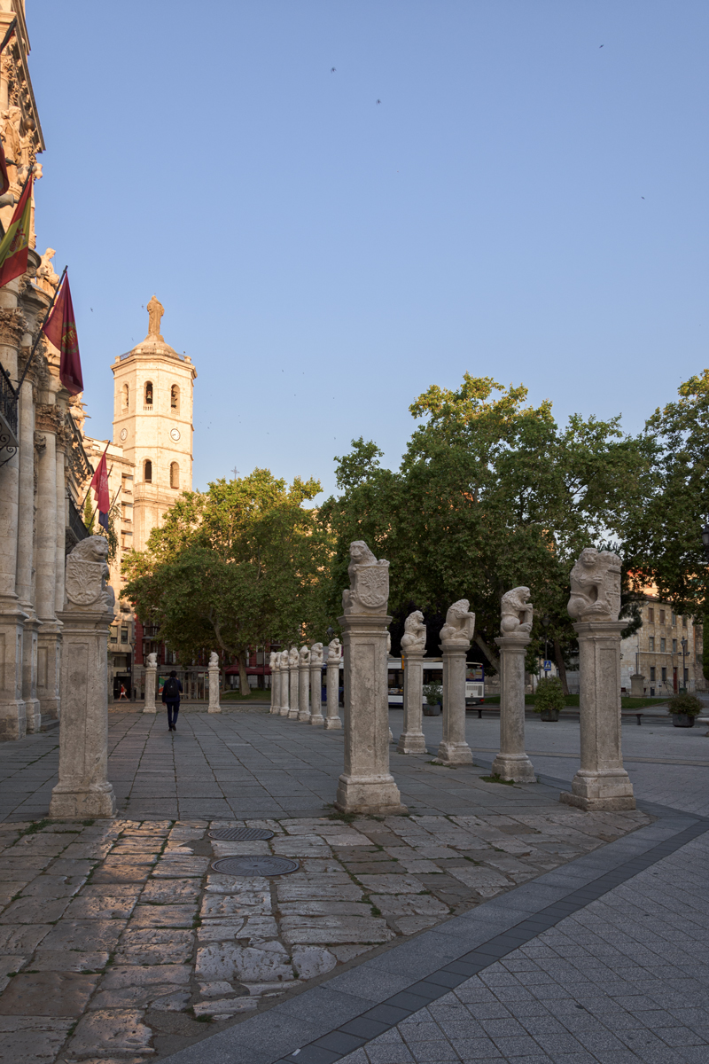 Plaza-de-la-universidad.-Valladolid,-2020web2.jpg