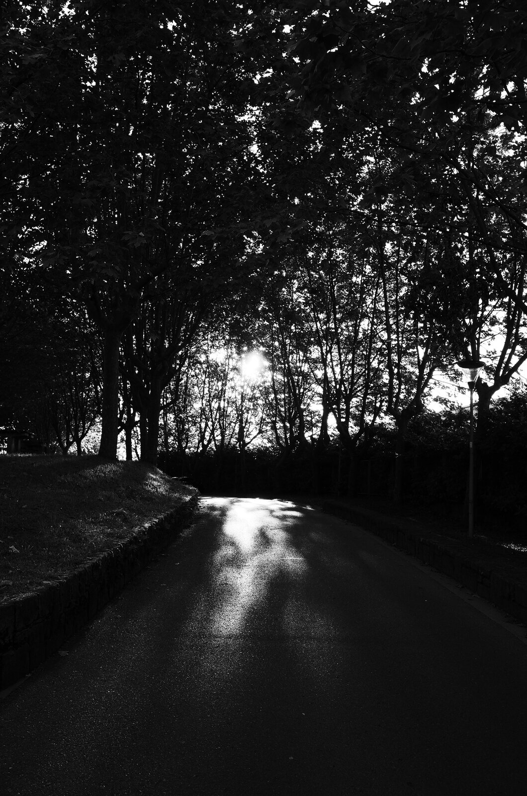 R0010093.jpeg
