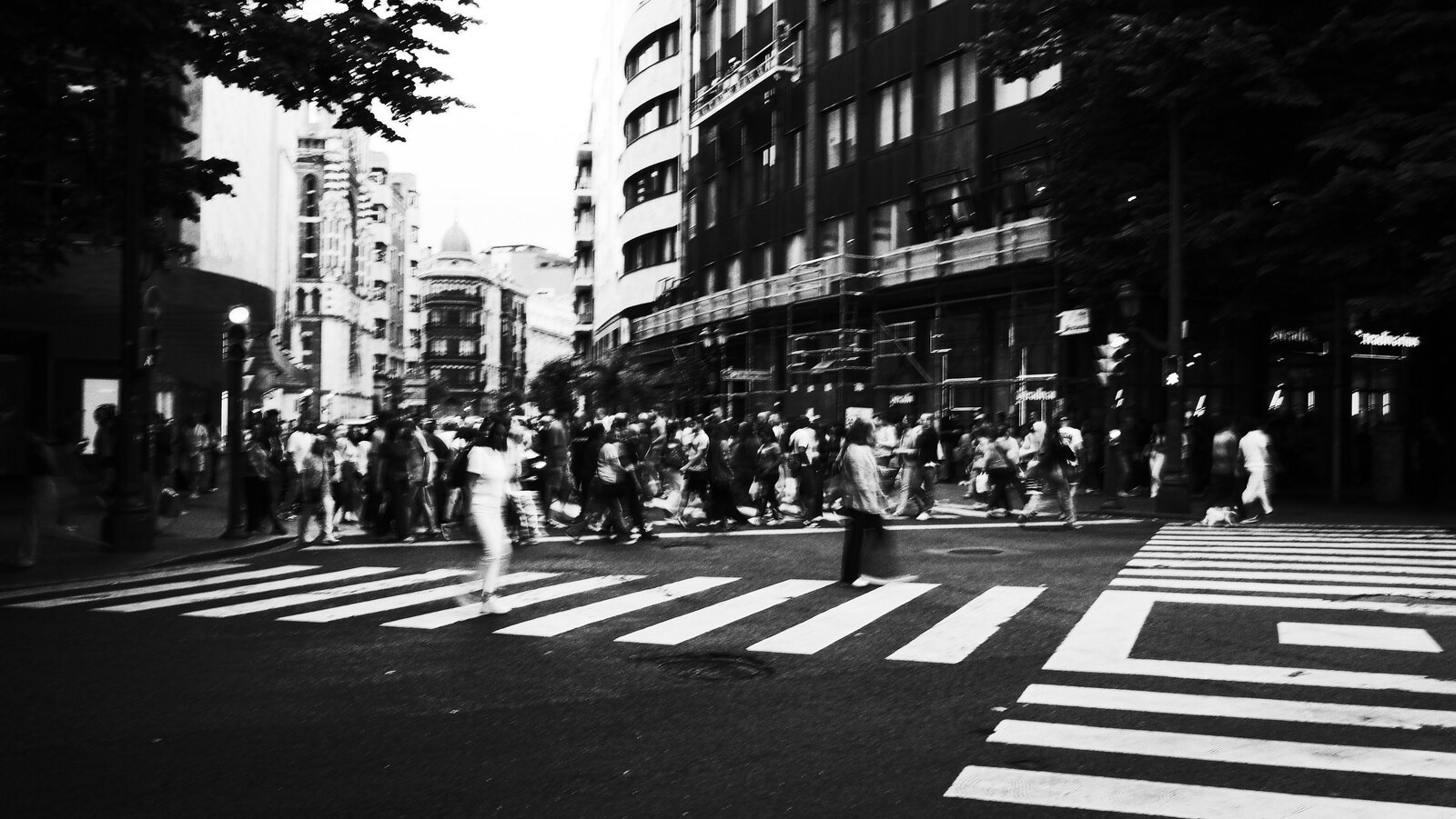 R0010128.jpeg
