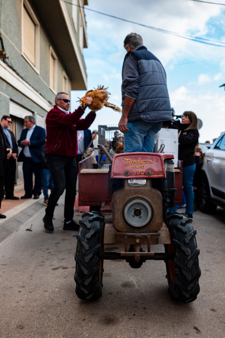 recogida de la gallina 16 enero 2025-076.jpg