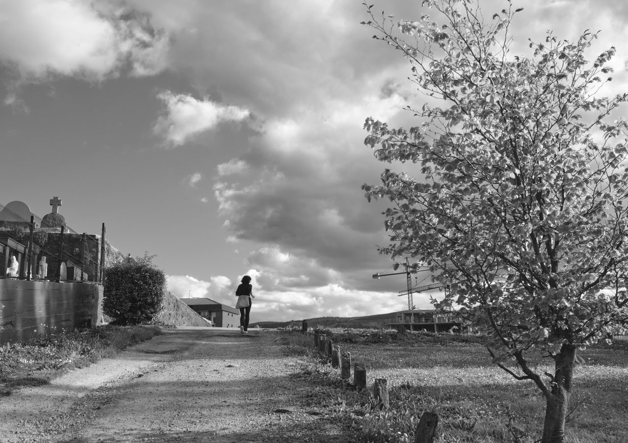 Rural street