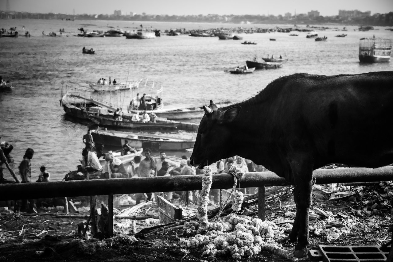 S24_I24_T5-01688.jpg S24_I24_T5-01688.jpg