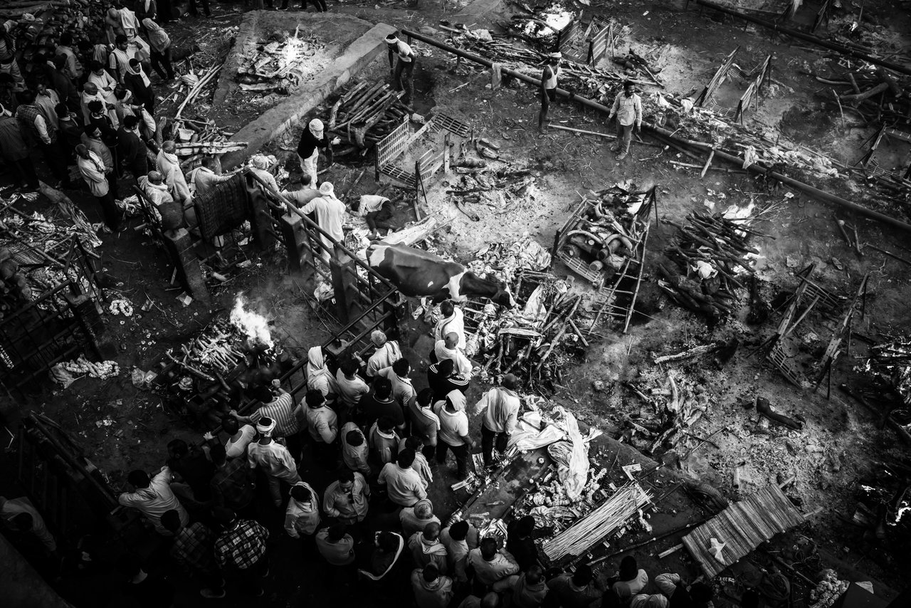 S24_I24_T5-02271.jpg S24_I24_T5-02271.jpg