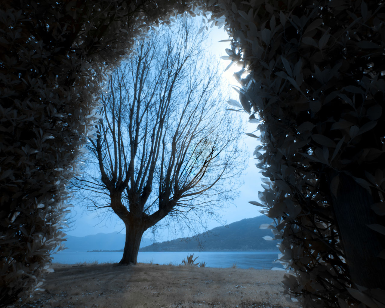 Sarnico infrared.jpg Sarnico infrared.jpg