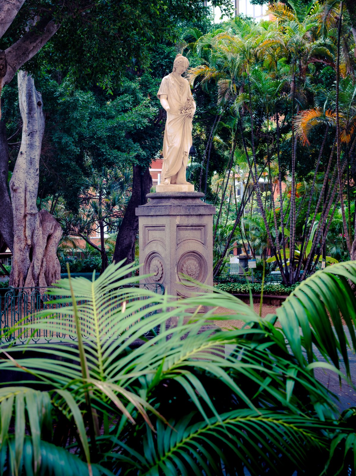 SC Fujinon 50mm f1_4-3.jpg
