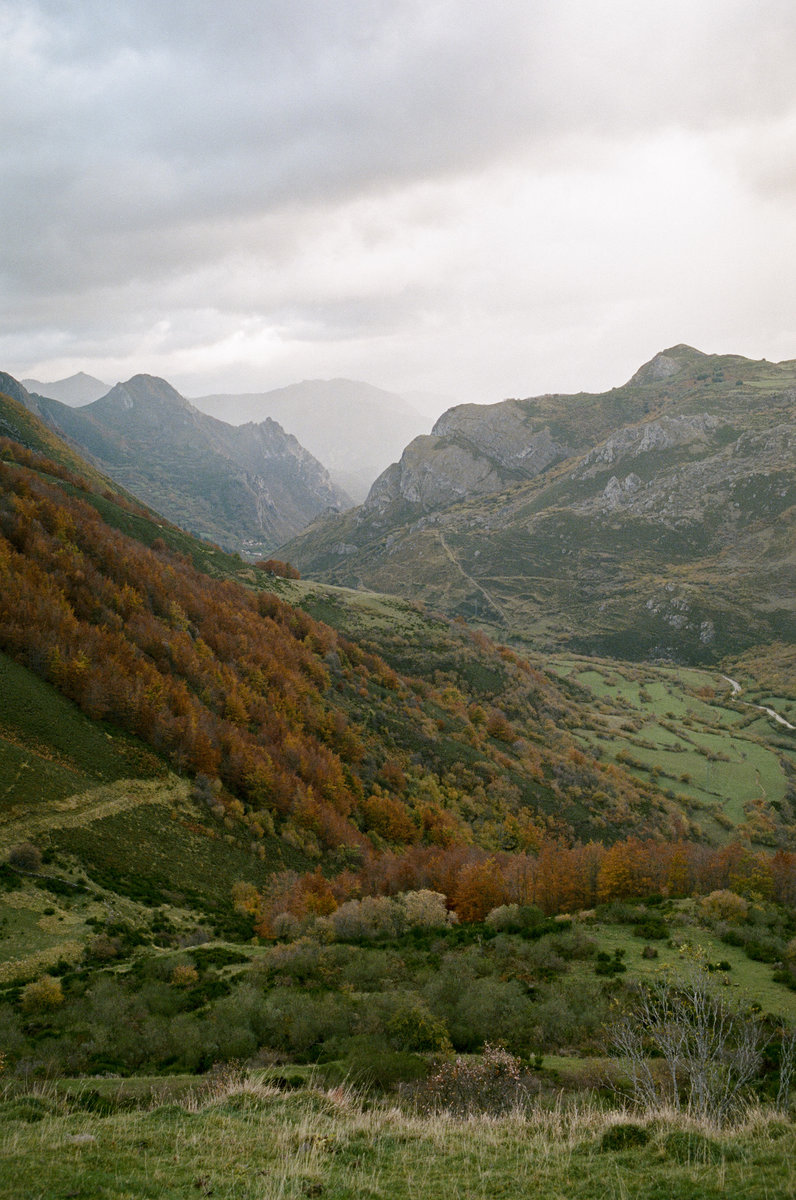 scan-04.jpg