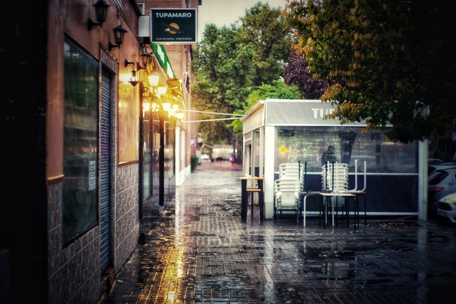 semana 45_DSCF5412 (2).JPG