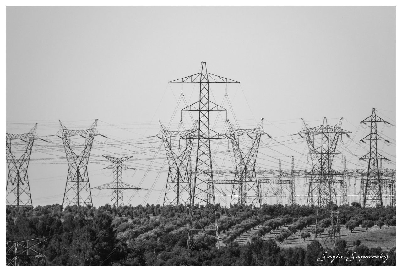 Sembrando la luz...